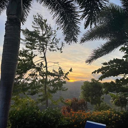 Hawk'S Nest Bed & Breakfast La Laguna de San Carlos Buitenkant foto