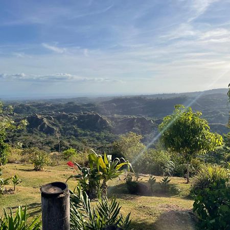 Hawk'S Nest Bed & Breakfast La Laguna de San Carlos Buitenkant foto