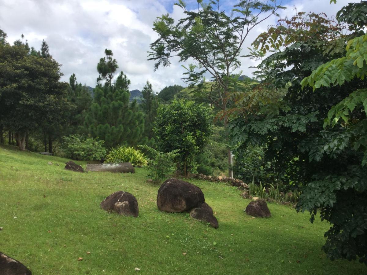 Hawk'S Nest Bed & Breakfast La Laguna de San Carlos Buitenkant foto