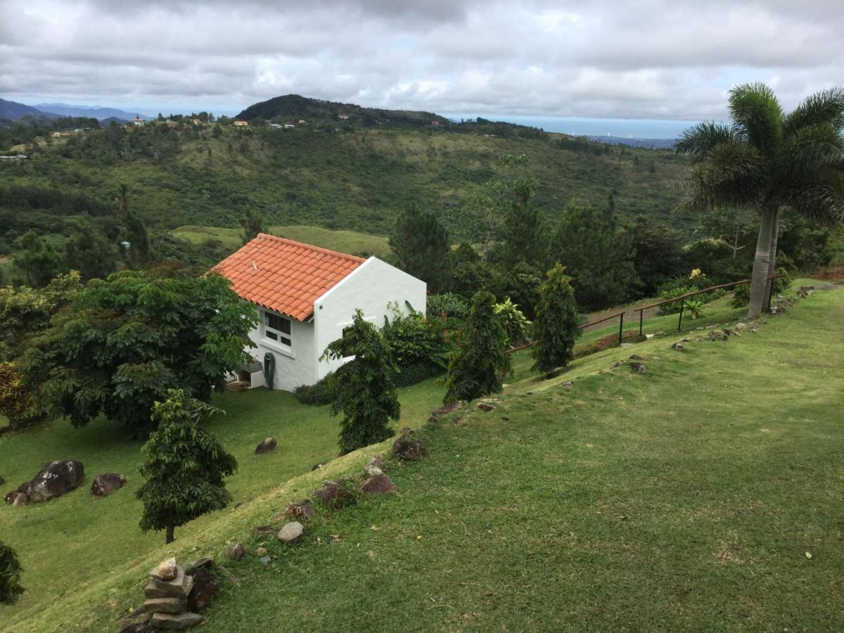 Hawk'S Nest Bed & Breakfast La Laguna de San Carlos Buitenkant foto