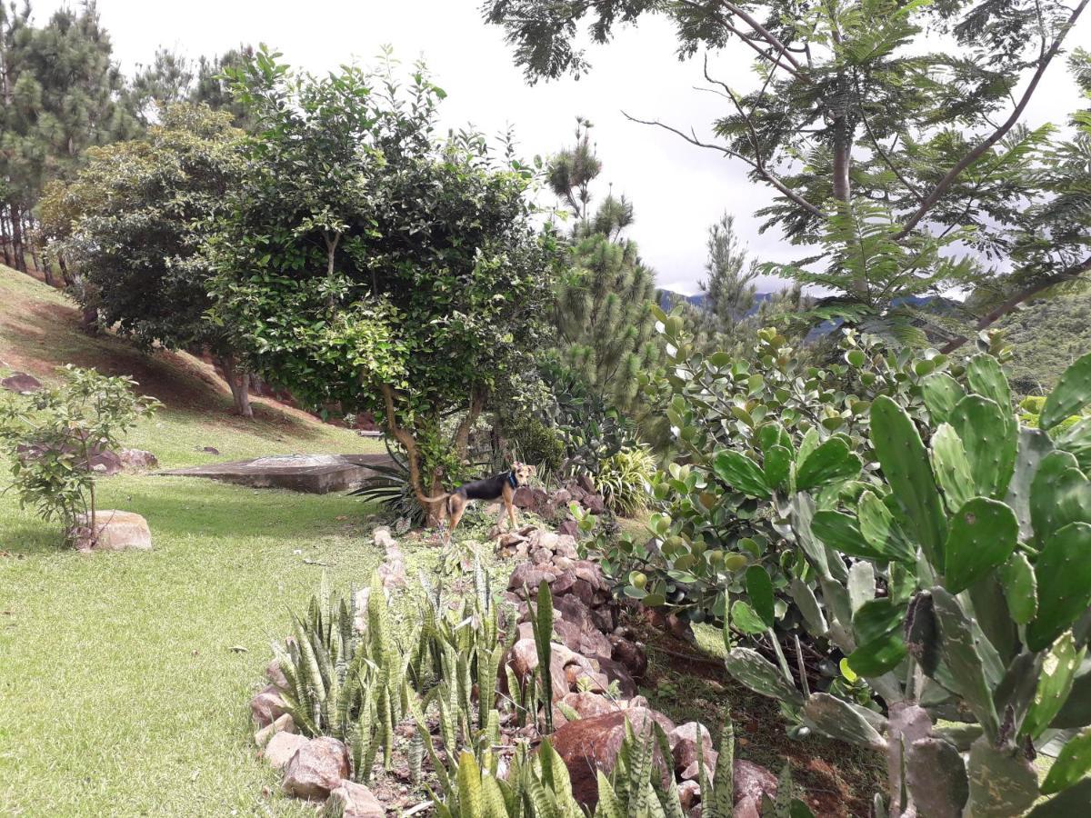 Hawk'S Nest Bed & Breakfast La Laguna de San Carlos Buitenkant foto