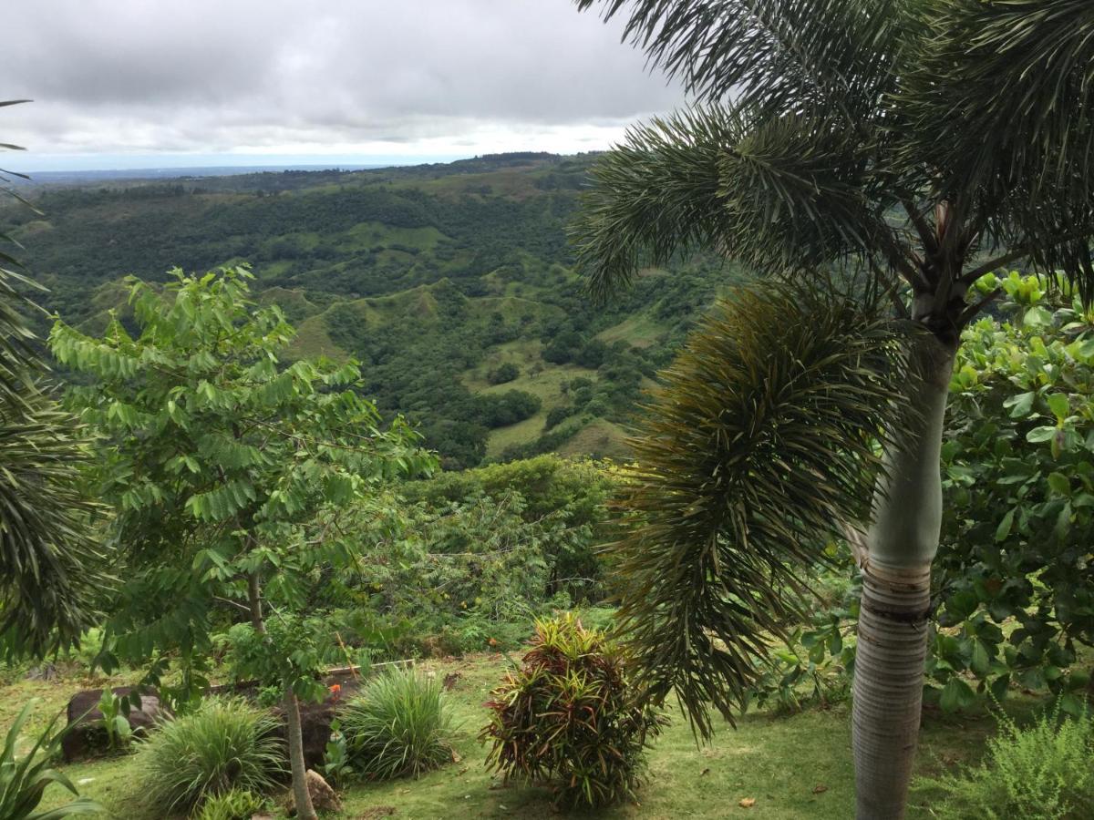 Hawk'S Nest Bed & Breakfast La Laguna de San Carlos Buitenkant foto