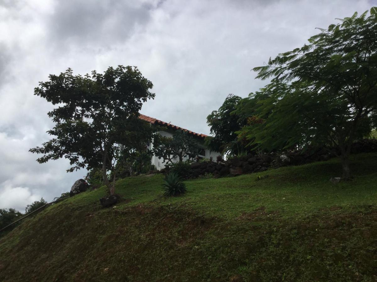 Hawk'S Nest Bed & Breakfast La Laguna de San Carlos Buitenkant foto