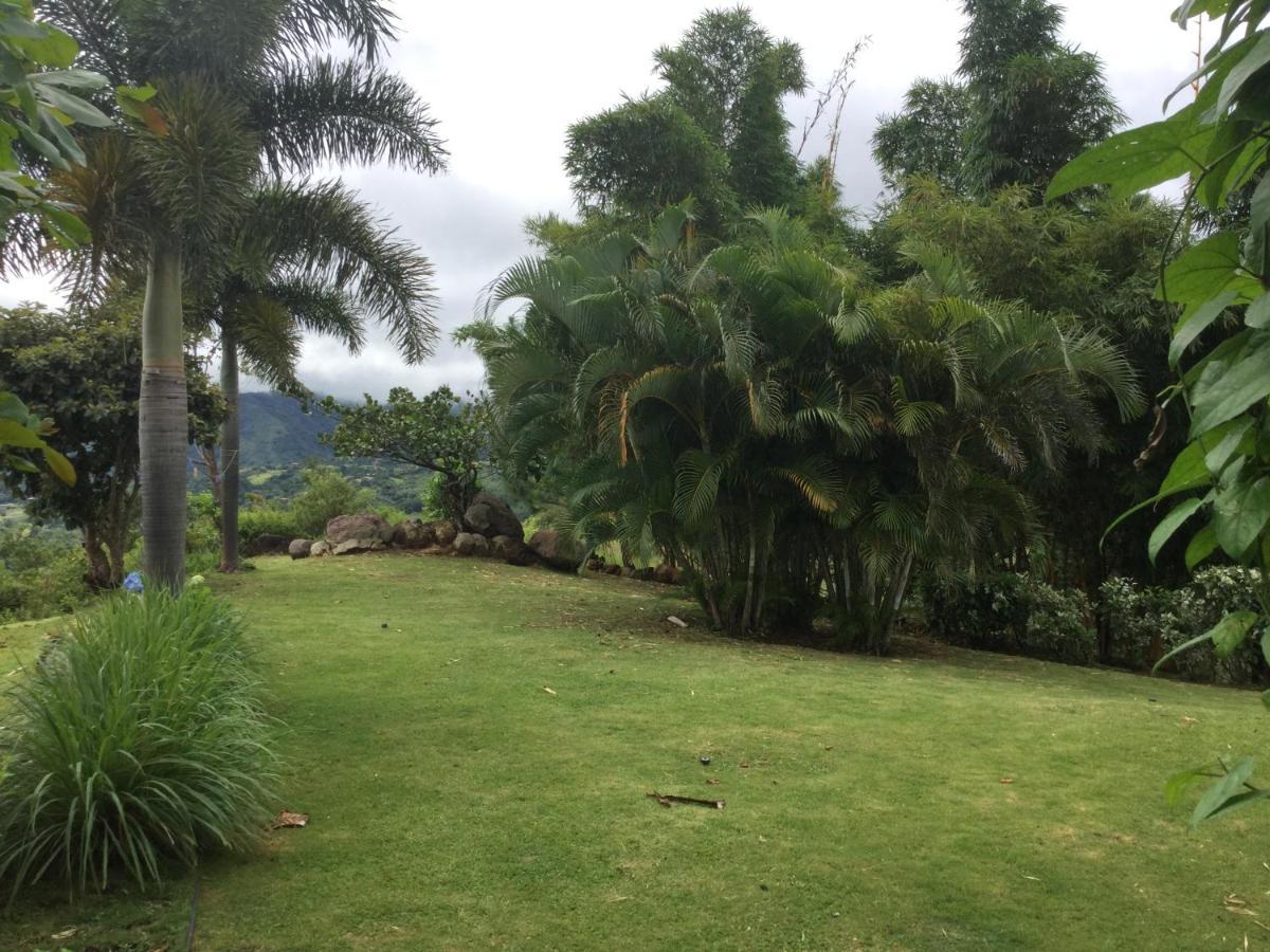 Hawk'S Nest Bed & Breakfast La Laguna de San Carlos Buitenkant foto
