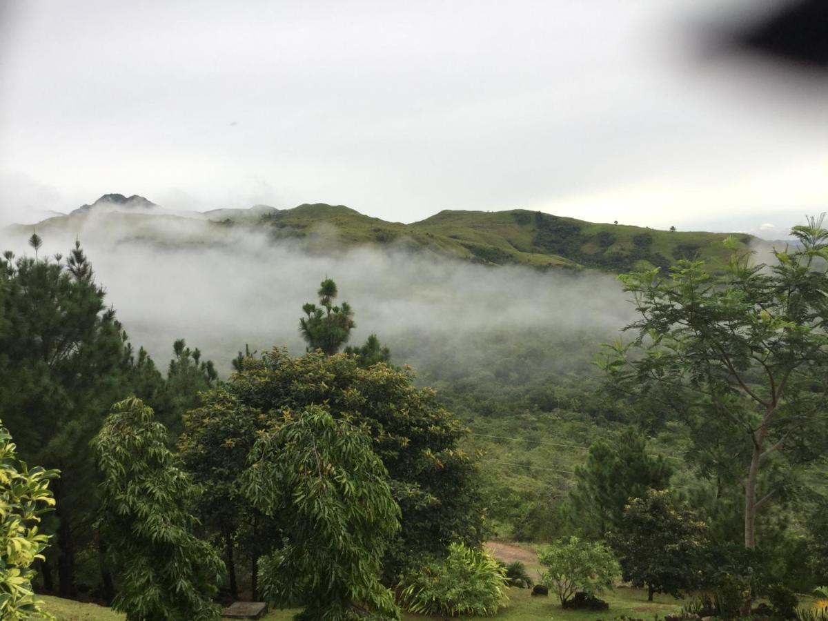 Hawk'S Nest Bed & Breakfast La Laguna de San Carlos Buitenkant foto
