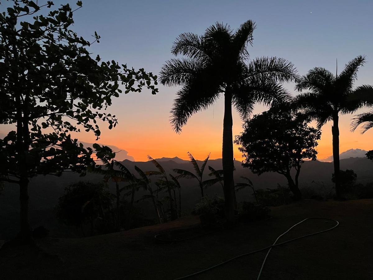 Hawk'S Nest Bed & Breakfast La Laguna de San Carlos Buitenkant foto