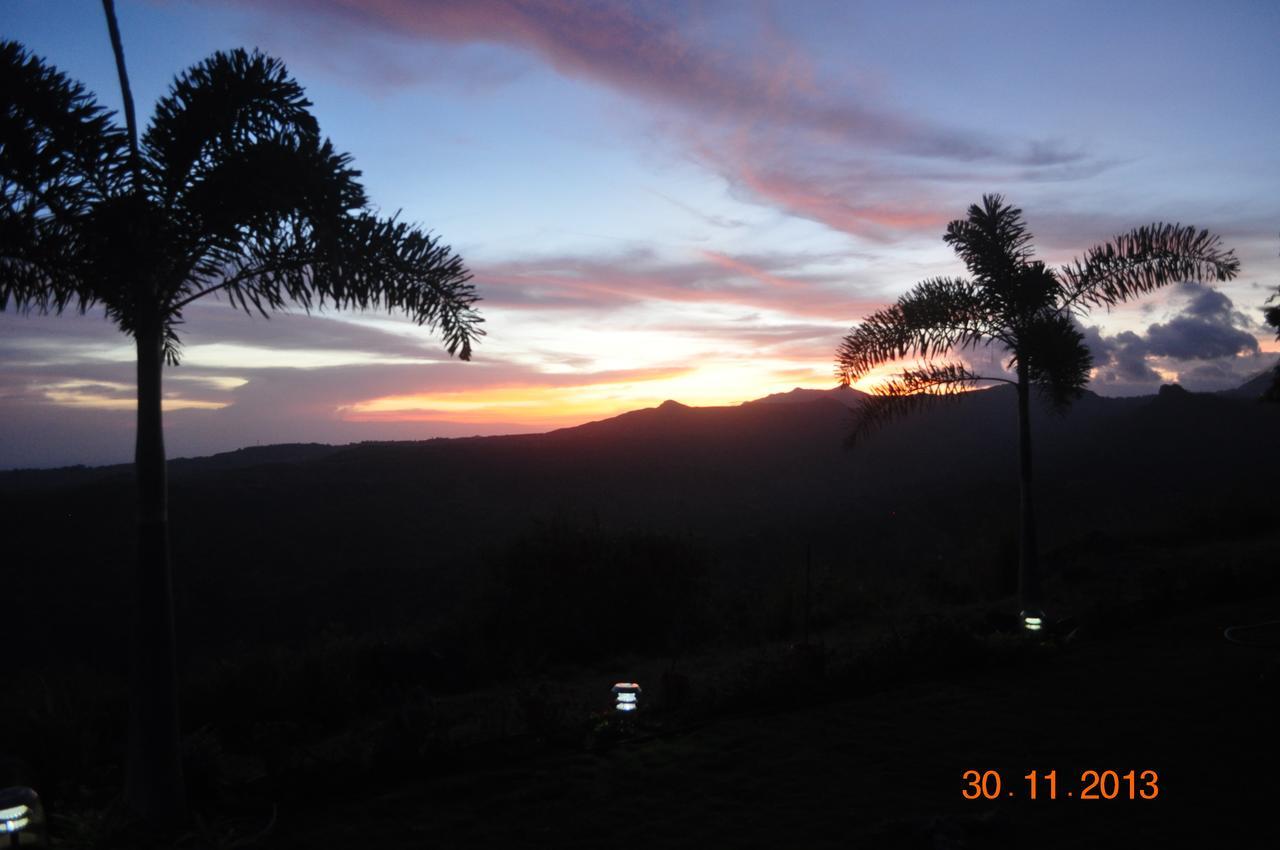 Hawk'S Nest Bed & Breakfast La Laguna de San Carlos Buitenkant foto
