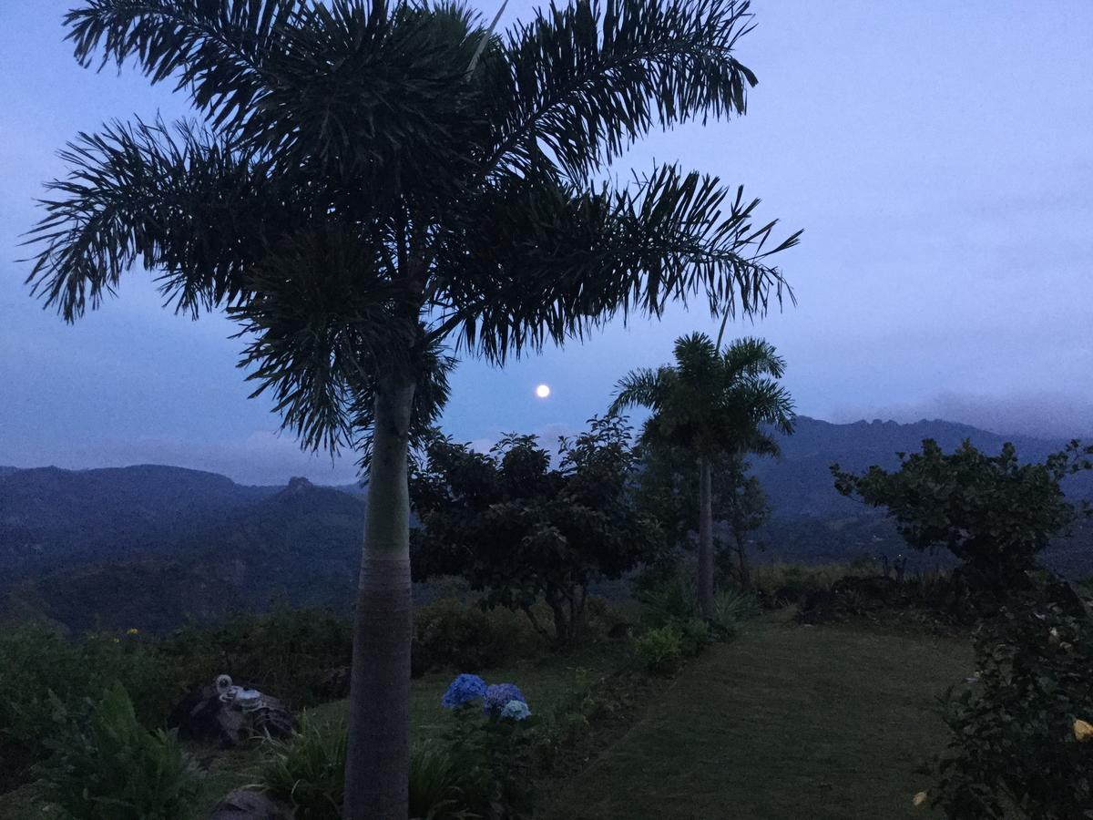 Hawk'S Nest Bed & Breakfast La Laguna de San Carlos Buitenkant foto