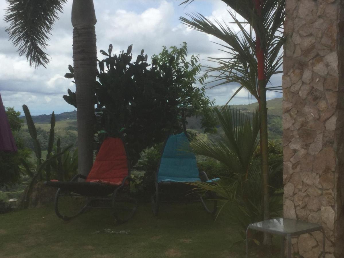 Hawk'S Nest Bed & Breakfast La Laguna de San Carlos Buitenkant foto