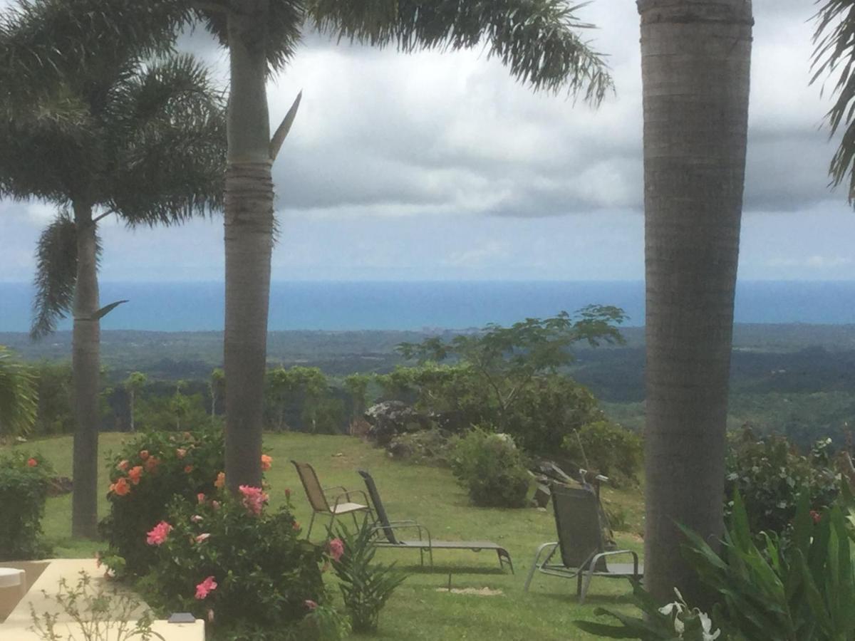 Hawk'S Nest Bed & Breakfast La Laguna de San Carlos Buitenkant foto