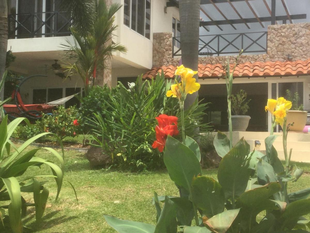 Hawk'S Nest Bed & Breakfast La Laguna de San Carlos Buitenkant foto